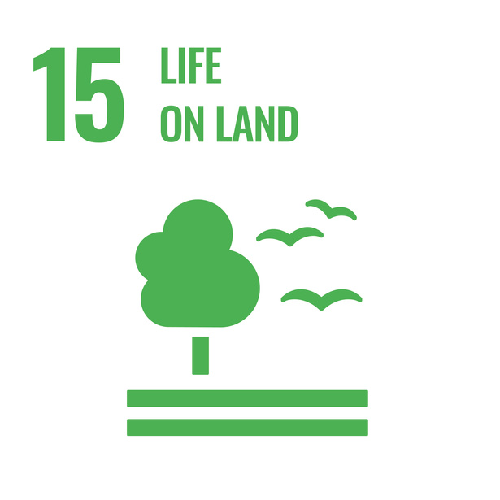 SDG 5